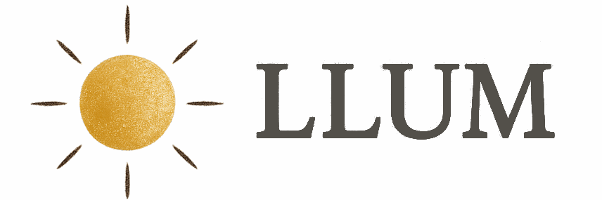 Centro LLUM